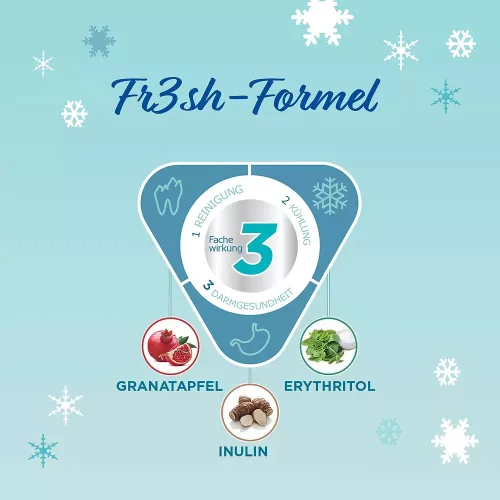 Virbac Vet Aquadent Fr3sh oldat kutyáknak és macskáknak 250ml