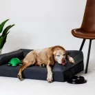 NRDOGS Ortoped Pro fekhely Soft Magic szürke M 60x80cm