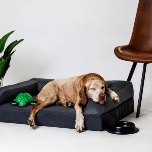NRDOGS Ortoped Pro fekhely Soft Magic szürke XL 120x80cm