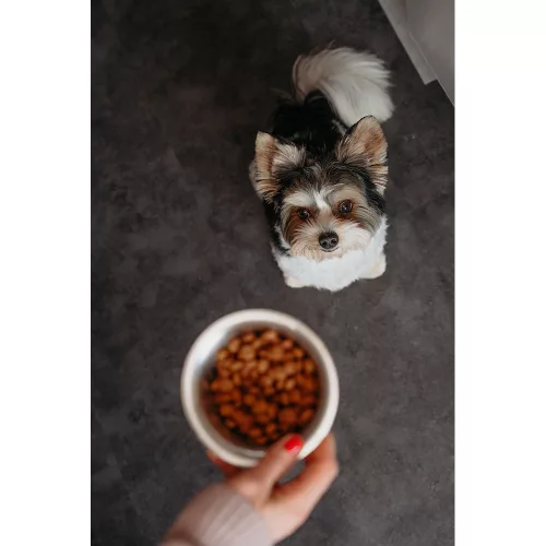 Virbac Veterinary HPM Neutered száraz kutyaeledel Small&Toy adult 400g