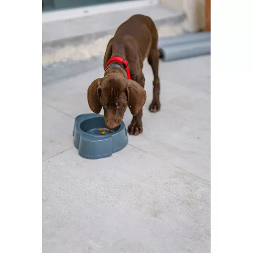 Virbac Veterinary HPM száraz kutyaeledel Large&Medium puppy 3kg