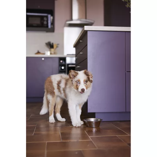 Virbac Veterinary HPM száraz kutyaeledel Large junior 3kg