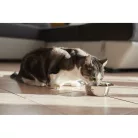 Virbac Veterinary HPM Neutered száraz macskaeledel adult 400g