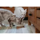 Virbac Veterinary HPM Neutered száraz macskaeledel adult 3kg