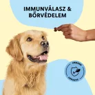 Fürree Soft Snacks Immune support kutya kiegészítő jutalomfalat 180g 60db