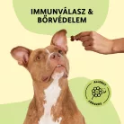 Fürree Soft Snacks Allergy support kutya kiegészítő jutalomfalat 180g 60db