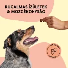 Fürree Soft Snacks Hip&Joint support kutya kiegészítő jutalomfalat 180g 60db