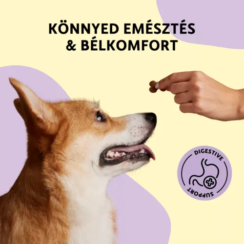 Fürree Soft Snacks Digestive kutya kiegészítő jutalomfalat 180g 60db