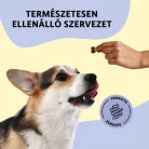 Fürree Soft Snacks Parasite Defense kutya kiegészítő jutalomfalat 180g 60db