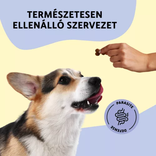 Fürree Soft Snacks Parasite Defense kutya kiegészítő jutalomfalat 180g 60db