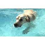 Szezonális termékek