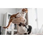 Kaparók, kaparófák