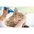 Kefék, fésűk, ollók