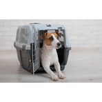 Szállítóboxok/utazás