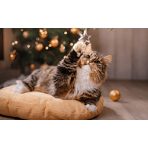 Szezonális ajánlatok