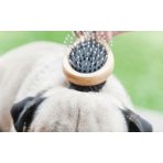 Kefék, fésűk, ollók