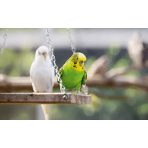 Egyéb felszerelések