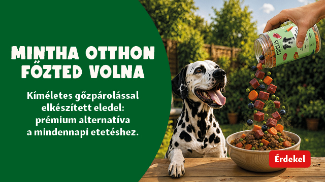 Fidelis: mintha te főzted volna – de a főzést megspórolhatod