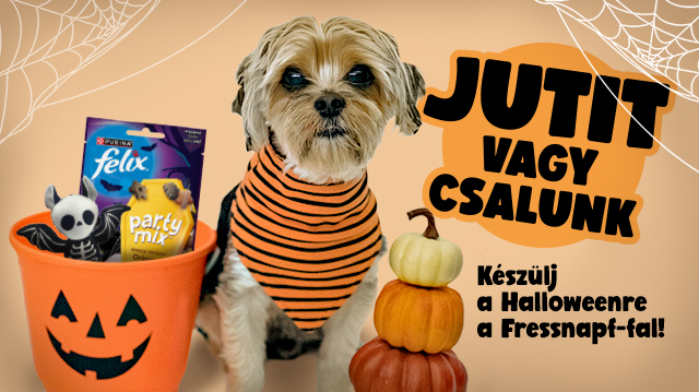 Jutit vagy csalunk! – Halloween a Fressnapf-nál