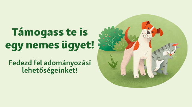 Támogass te is egy nemes ügyet!