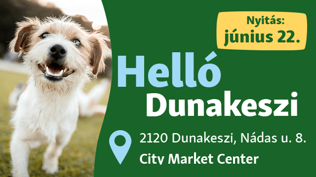 Hello Dunakeszi!