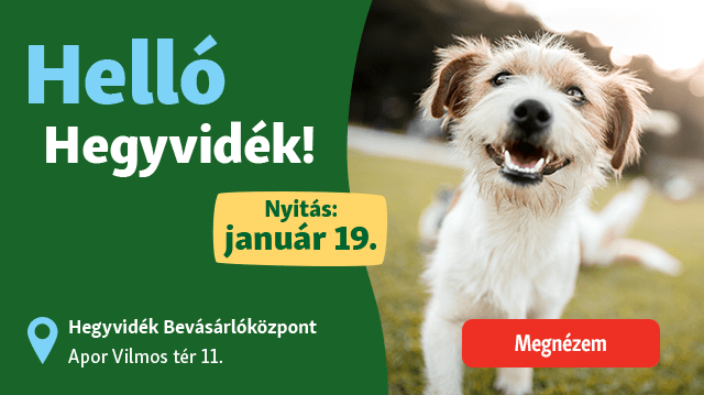 Hello Hegyvidék!