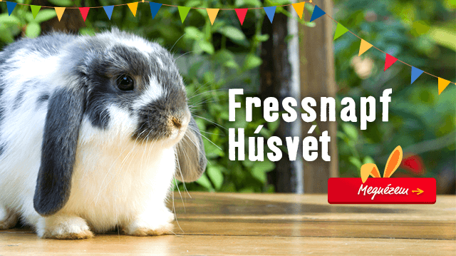 Állati jó húsvéti meglepetések minden kis kedvenc számára!