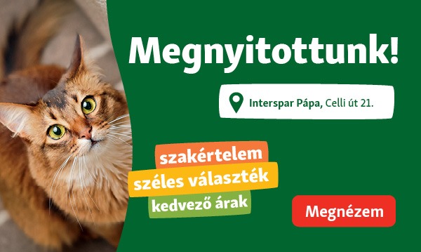 Hello Pápa, itt vagyunk!