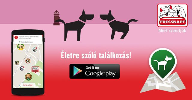 Randialkalmazás kutyáknak? Igen! Ez a KutyaRandi