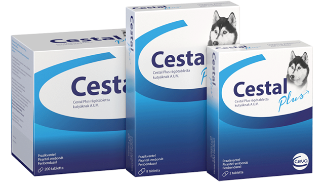 FÉRGEK? Veszélyben van kedvencem? Vagy esetleg én is?