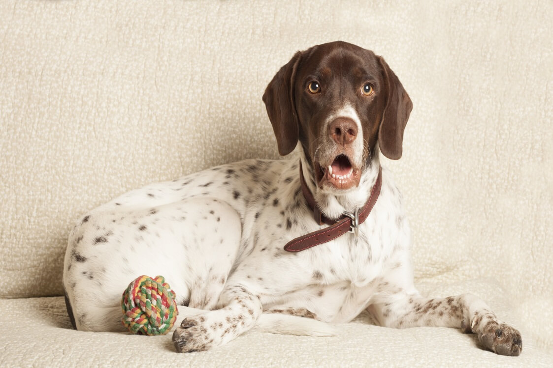 Angol pointer