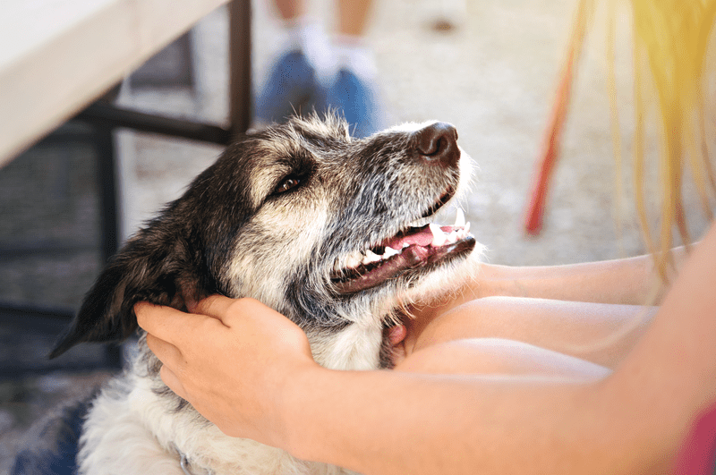 Mindennapi viselkedési szabályok