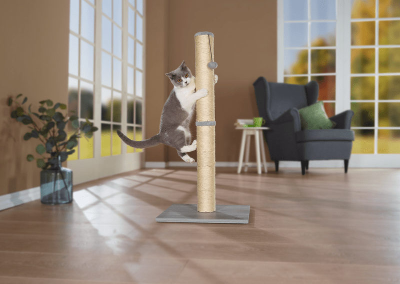 A legjobb kaparófák karácsonyra