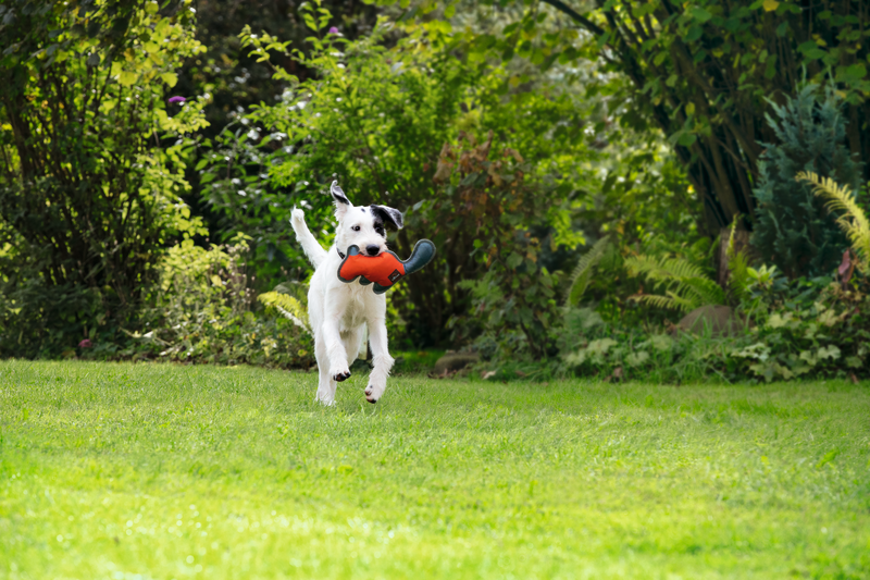 A hónap legjobb kültéri játékai