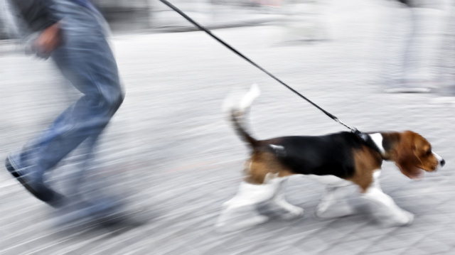 Járda szabály tanítása