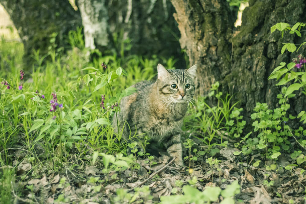 A hónap legjobb tavaszi kiegészítői