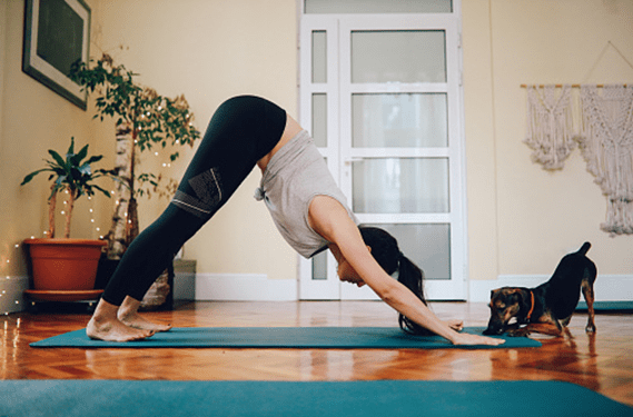 A legkedveltebb kutyás sportok