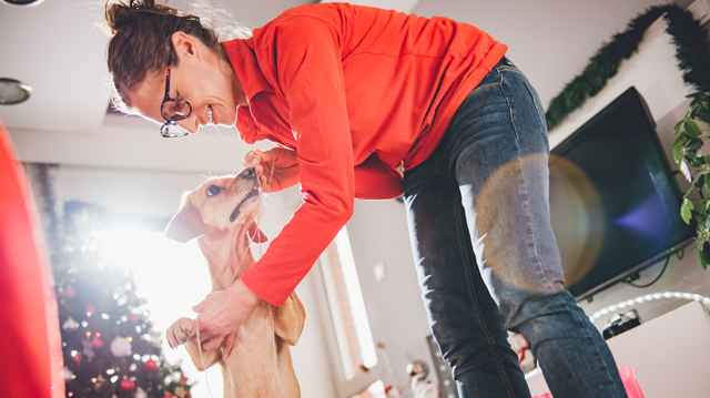 Kit neveljünk először?  A vendégeinket, vagy kutyusunkat?