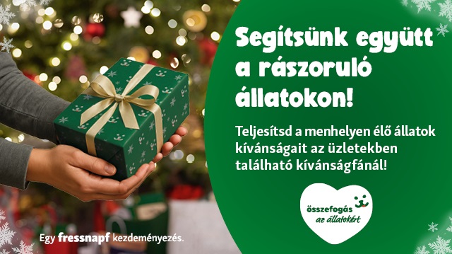 Teljesítsd egy menhelyi állat karácsonyi kívánságát!