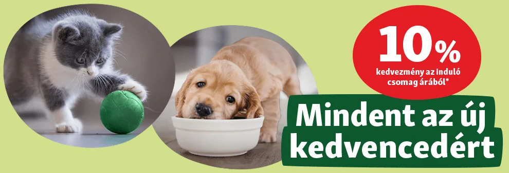 Mindent az új kedvencedért