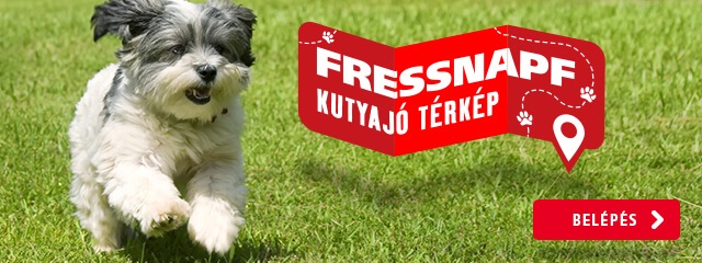 Darling kutyatáp fressnapf