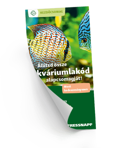 Akvarisztika alapcsomag
