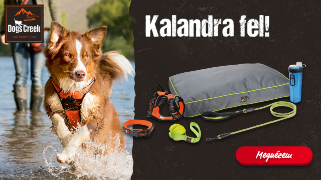 Kalandra fel a Dogs Creek-el!