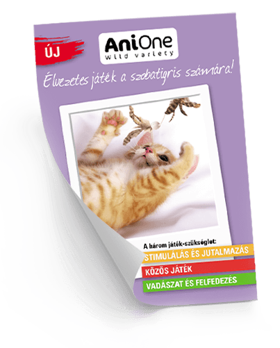 AniOne: Élvezetes játék a szobatigris számára!