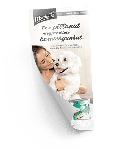 Moments: Ez a pillanat megpecsételi a barátságunkat