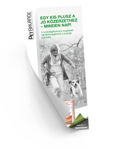 PetBalance: Egy kis plusz a jó közérzethez