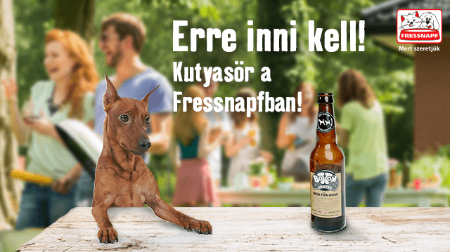 Kutyaharapás szőrével! Magyarországon először: kutyasör kapható a Fressnapf áruházakban!