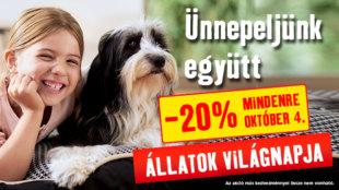 Ünnepeljük együtt az állatokat!