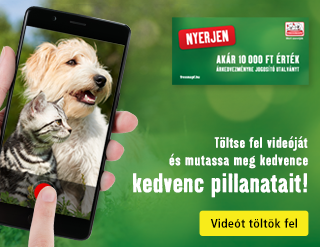 szexi tengerparti pornó