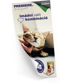 Premiere: Imádni való kombináció